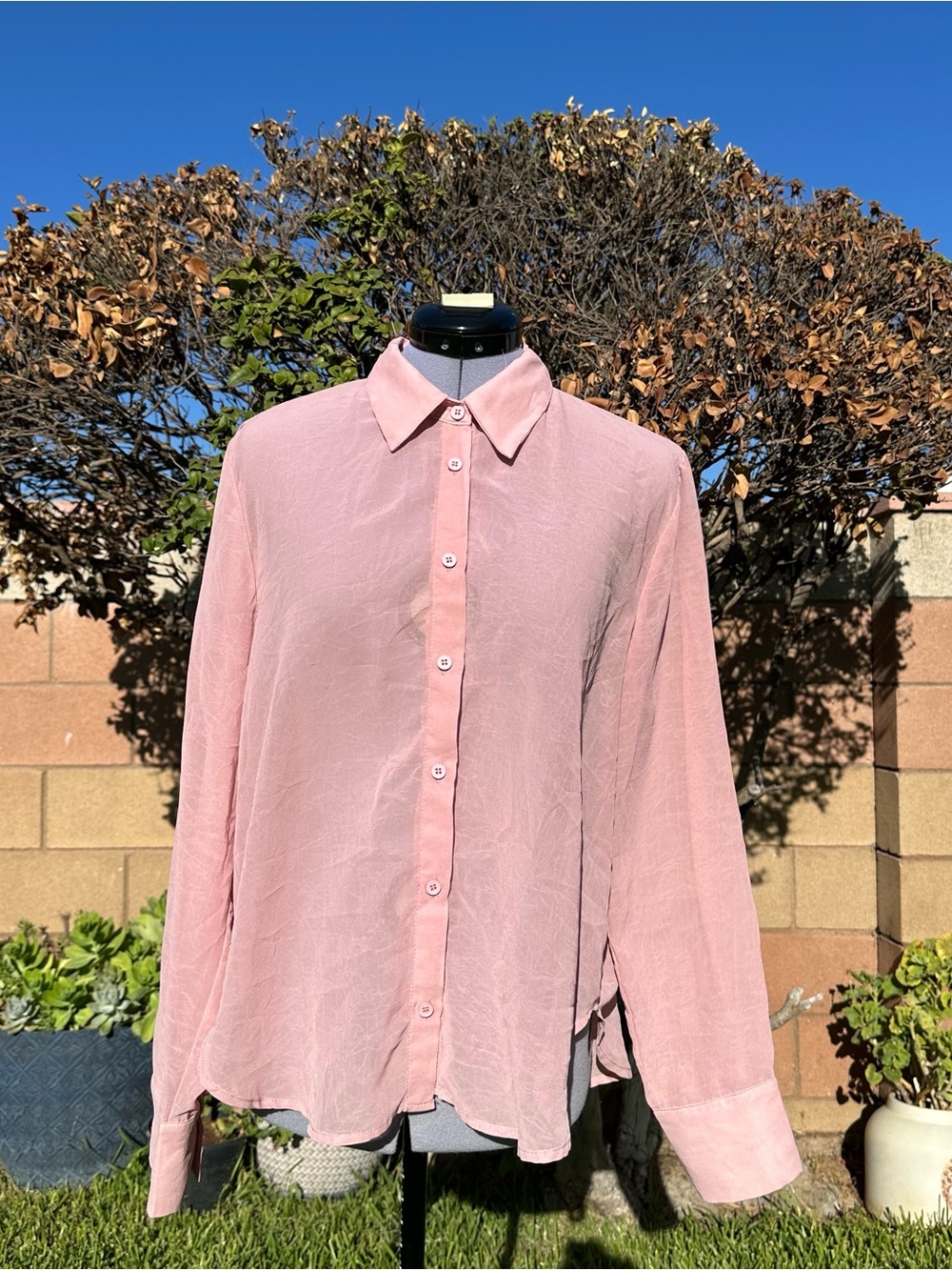 Know One Cares Classic Soft Pink Button-Down Sheer Blouse Size Large